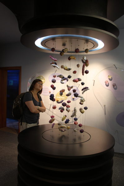 Wen and many types of potato